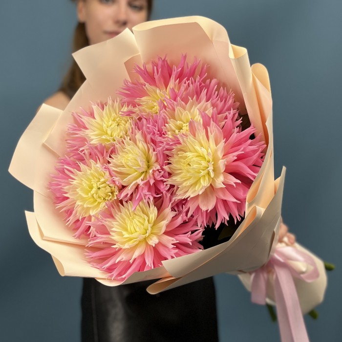 7 розово-желтых игольчатых георгин Джаст Меррид